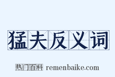猛夫反义词是什么意思的图片